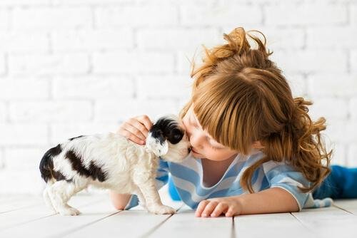 ¿Cómo preparar tu hogar para un nuevo perro?