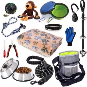 Accesorios (correas, camas…)