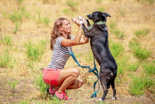 20 consejos infalibles para adiestrar a tu perro