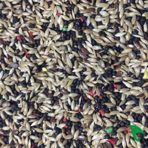 Mixtura para Canarios sin Avena 1 kg · Alpiste Premium