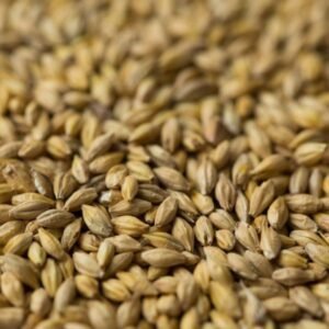 Trigo Seleccionado – Saco 35 kg • Cereal Integral para Aves y Ganado