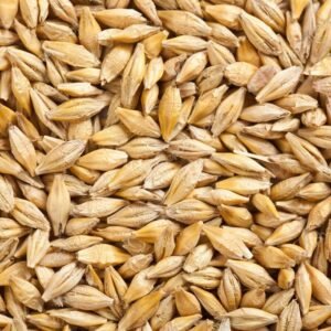 Cebada Seleccionada – Saco 35 kg • Cereal Integral para Aves y Ganado
