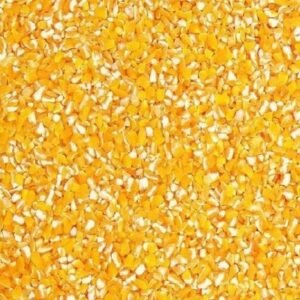 Maíz Partido – Saco 35 kg • Energía Natural para Aves y Ganado